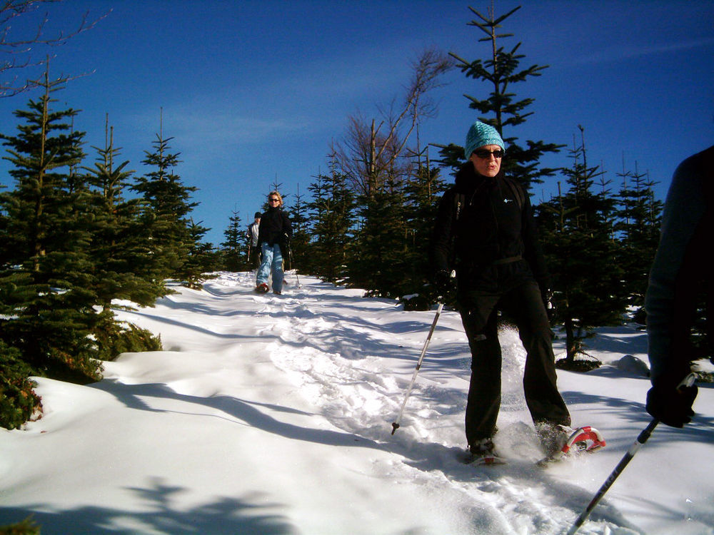 Berghotel Hoher Knochen Winterberg Dış mekan fotoğraf