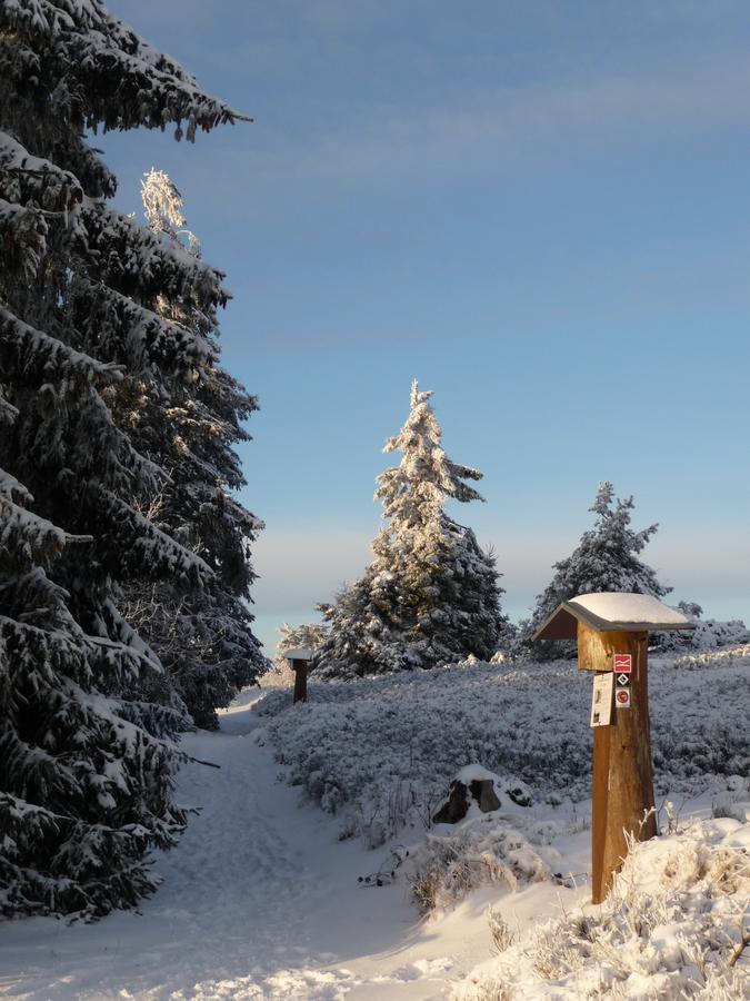 Berghotel Hoher Knochen Winterberg Dış mekan fotoğraf